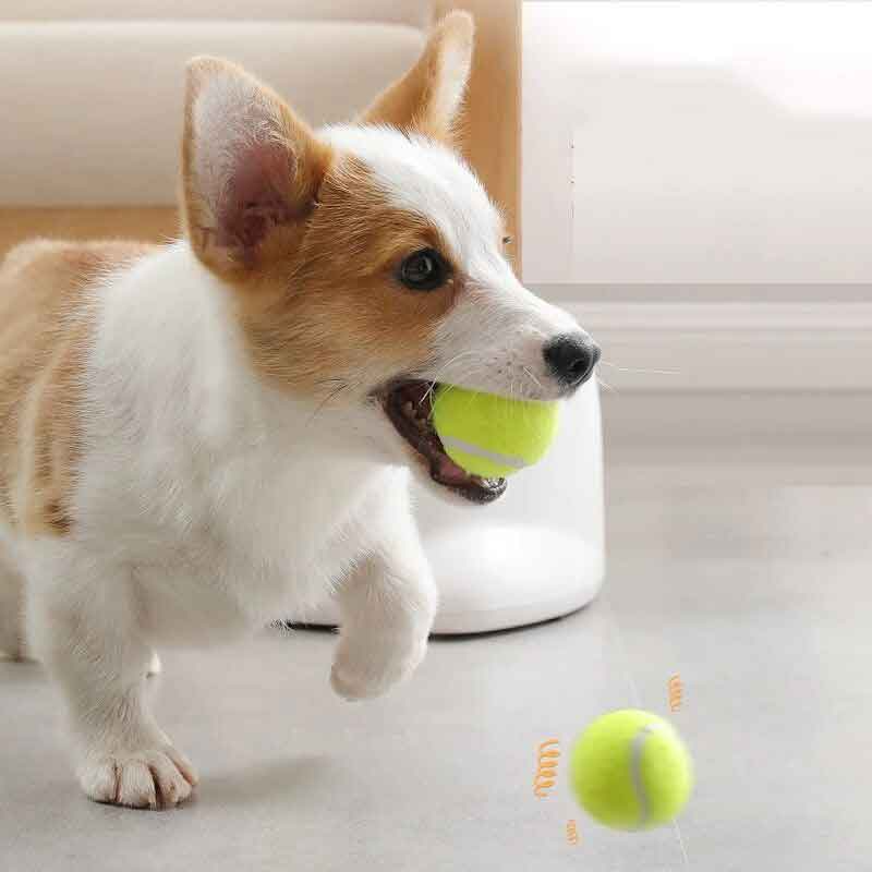 Automatic Dog Ball Launcher with High Pressure