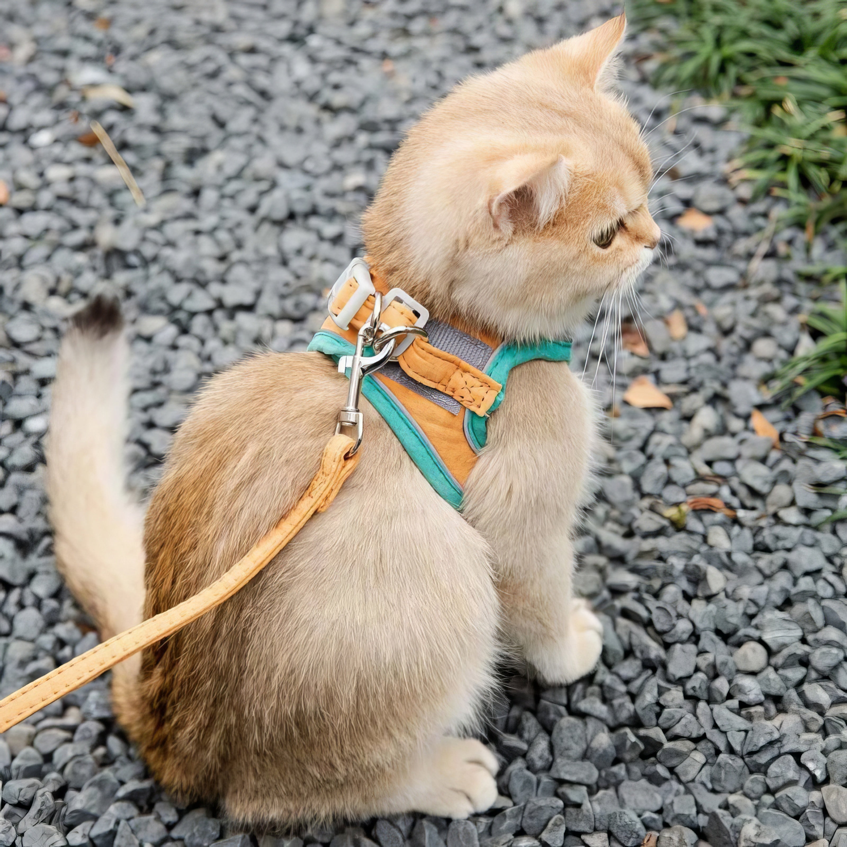 Adjustable Harness & Leash Set for Cats, Kittens and Pups - ESCAPE-PROOF & EASY TO WEAR
