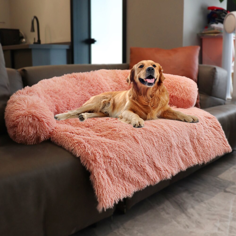 dog sitting on pet sofa couch cover of pink color 