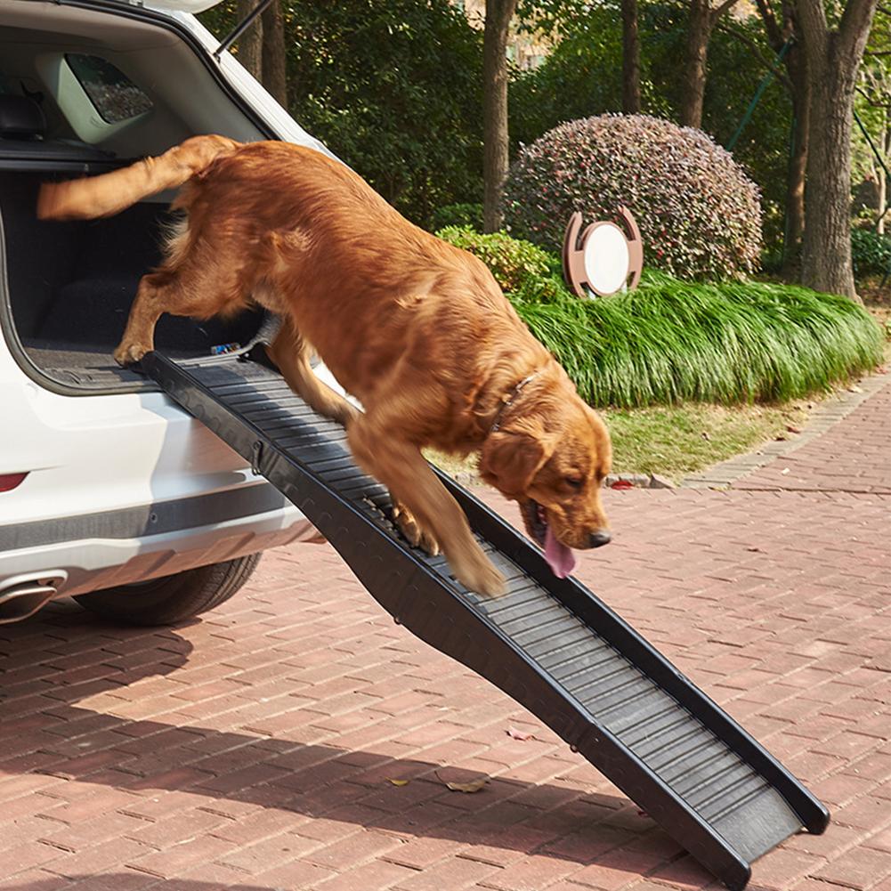 dog coming down from car on dog car seat ramp 