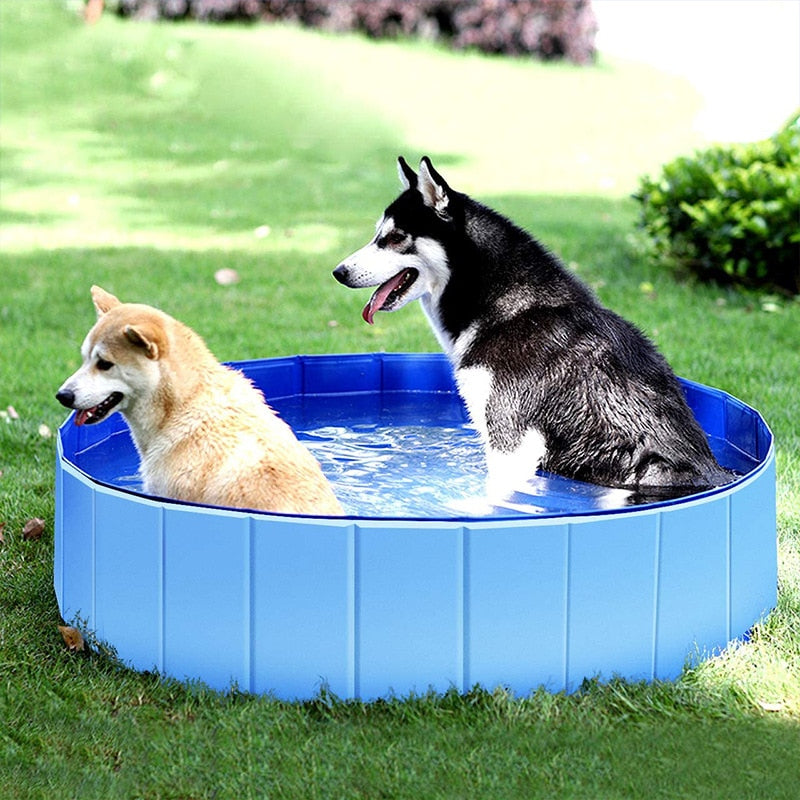 Outdoor Pet Swimming Pool