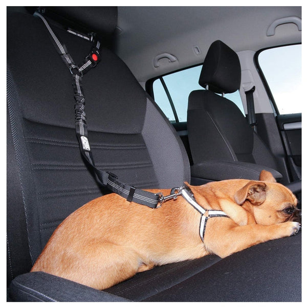 Adjustable Dog Car Leash