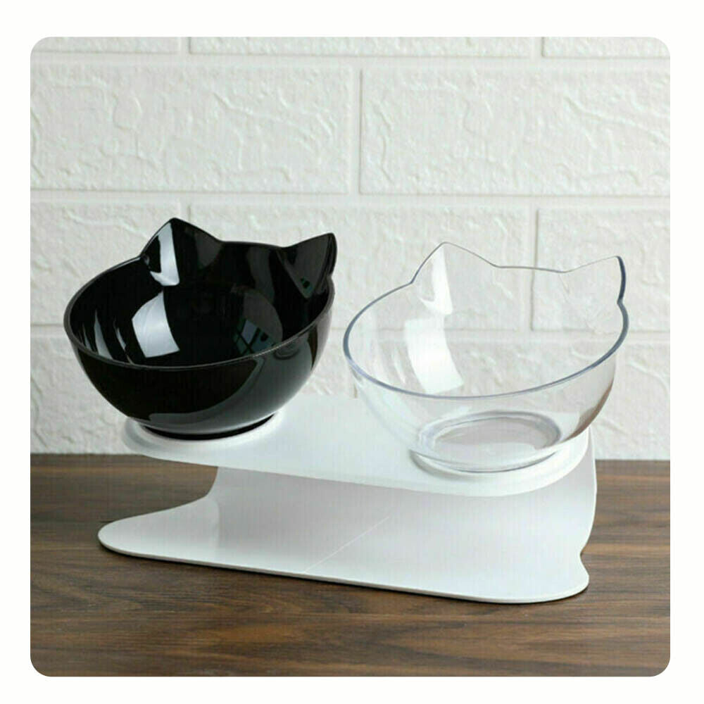 glass cat dishes