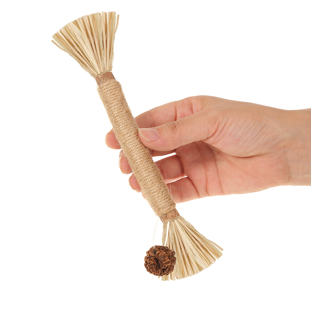 Silvervine Stick Cat Chew Toy with Gall fruit (5 PCS)