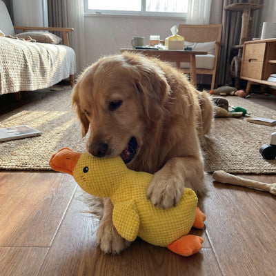 Calming Duck Chew Toy
