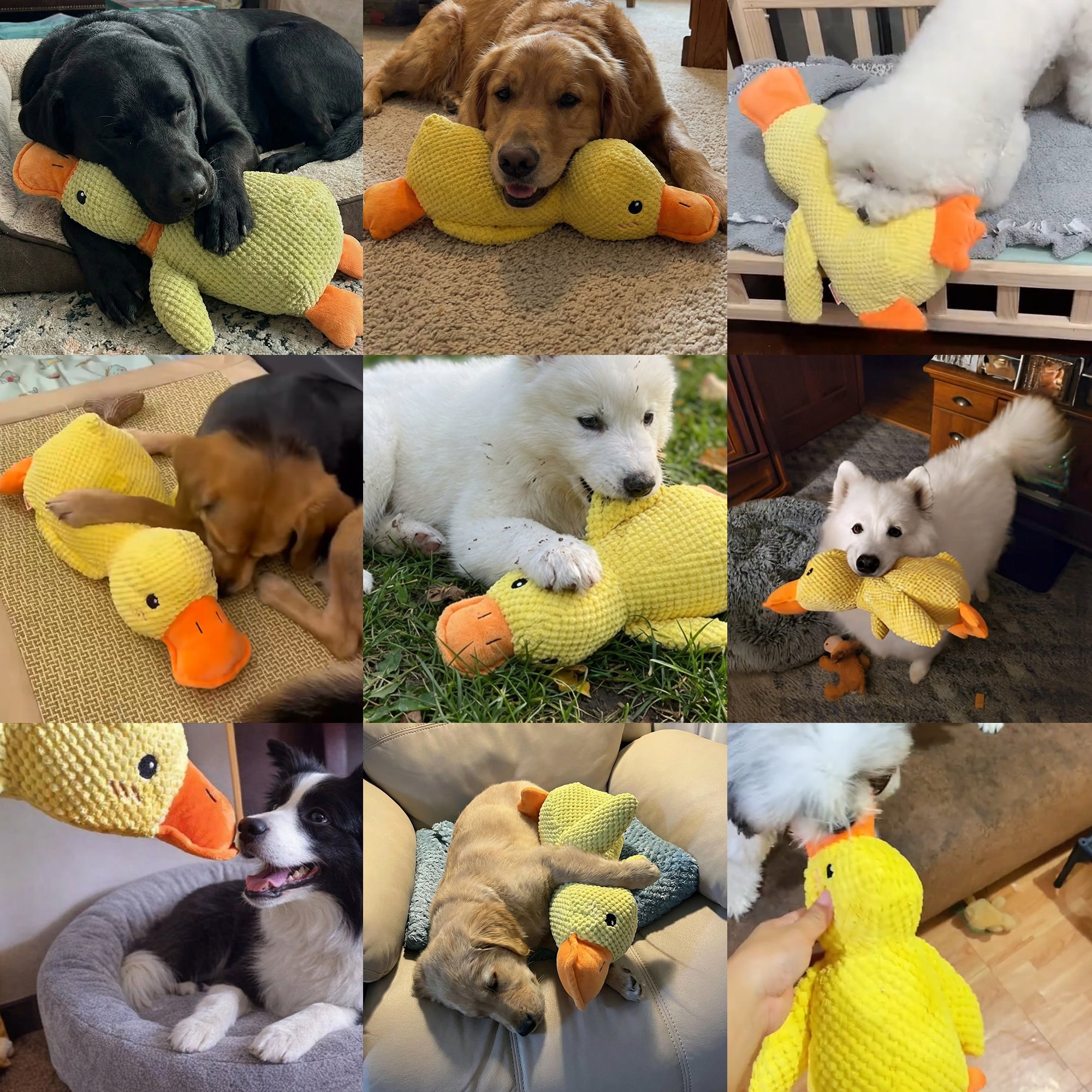 Stumblr pillow