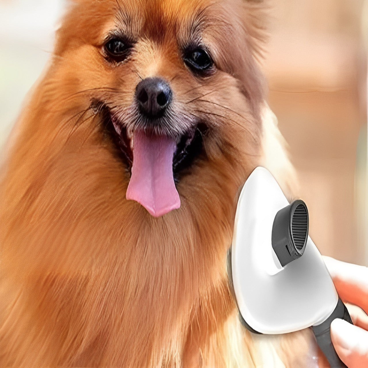 PET HAIR GROOMING BRUSH