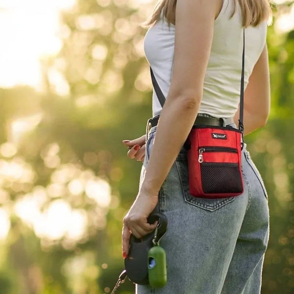 Dog Treat Training Pouch