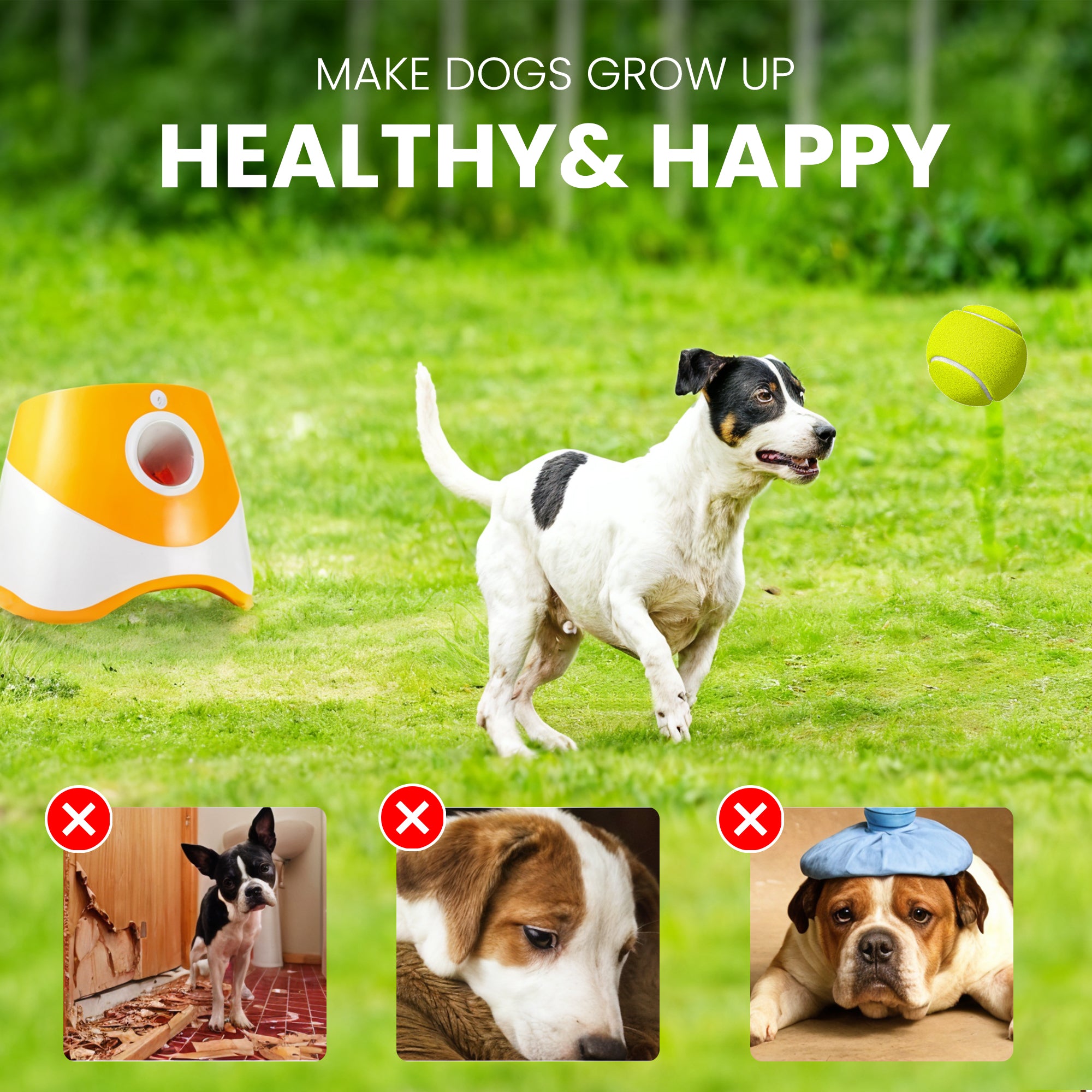 Automatic Dog Ball Launcher with High Pressure