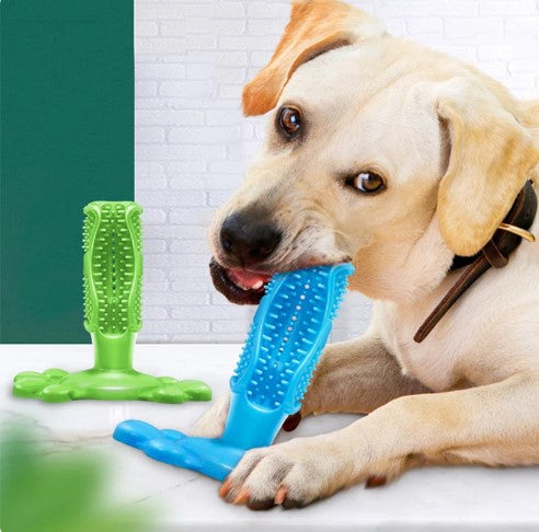 Indestructible Chew Toy for Aggressive Chewers - Teeth Cleaning and Interactive Play (2 in 1 Solution)
