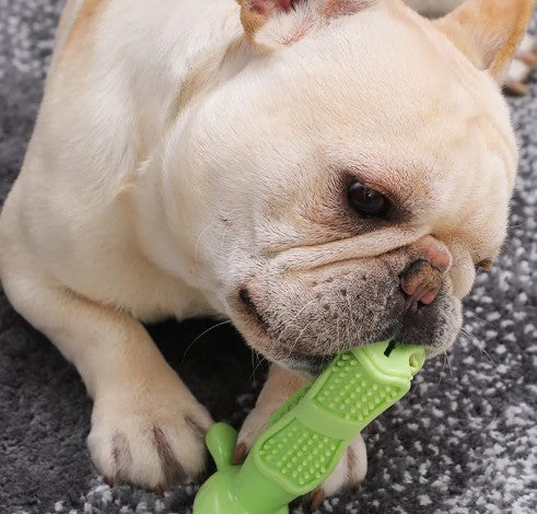Indestructible Chew Toy for Aggressive Chewers - Teeth Cleaning and Interactive Play (2 in 1 Solution)