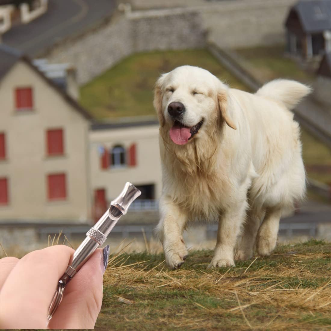 Dog Training Whistle - Adjustable frequency for tailored training