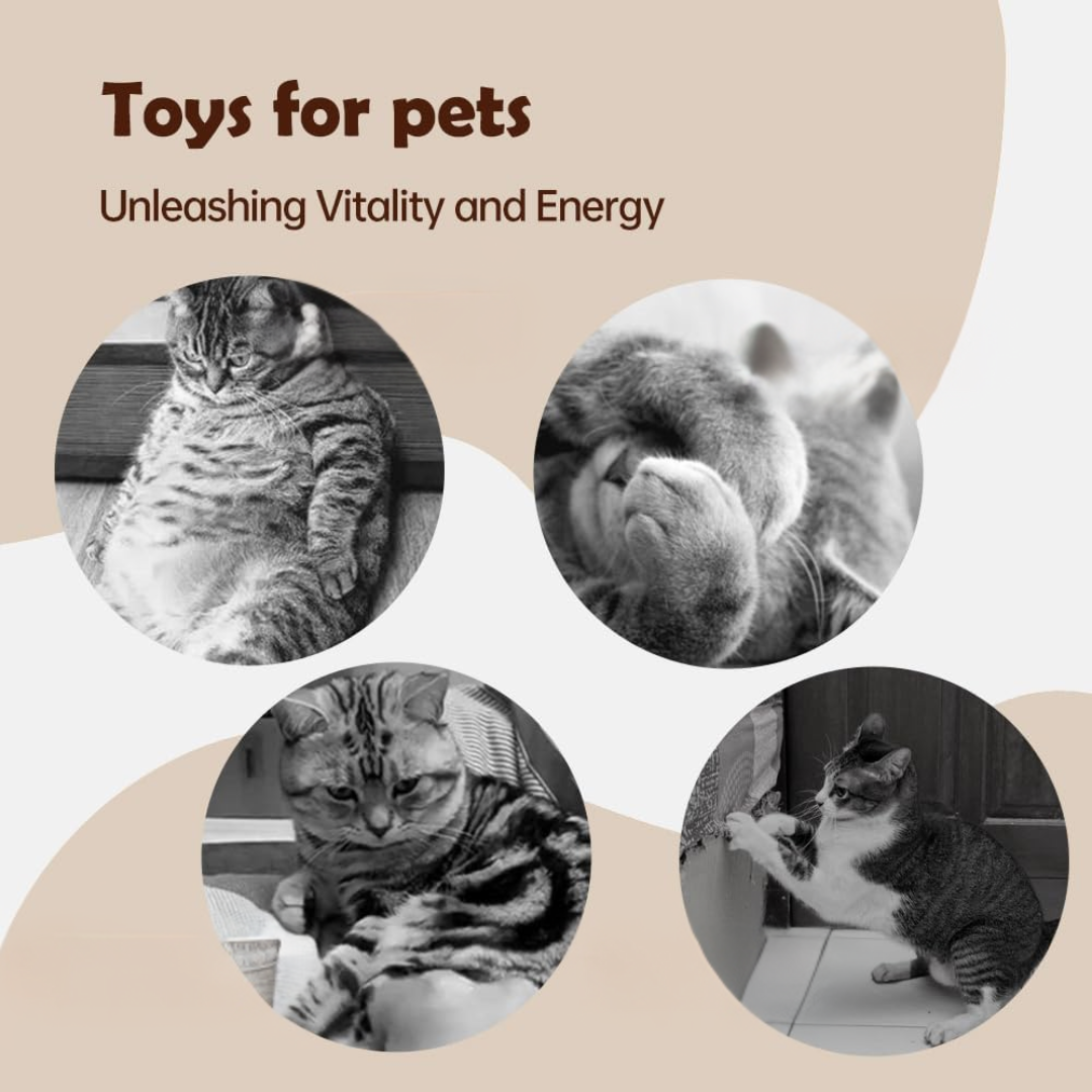 Chirping Bird Pet Toy