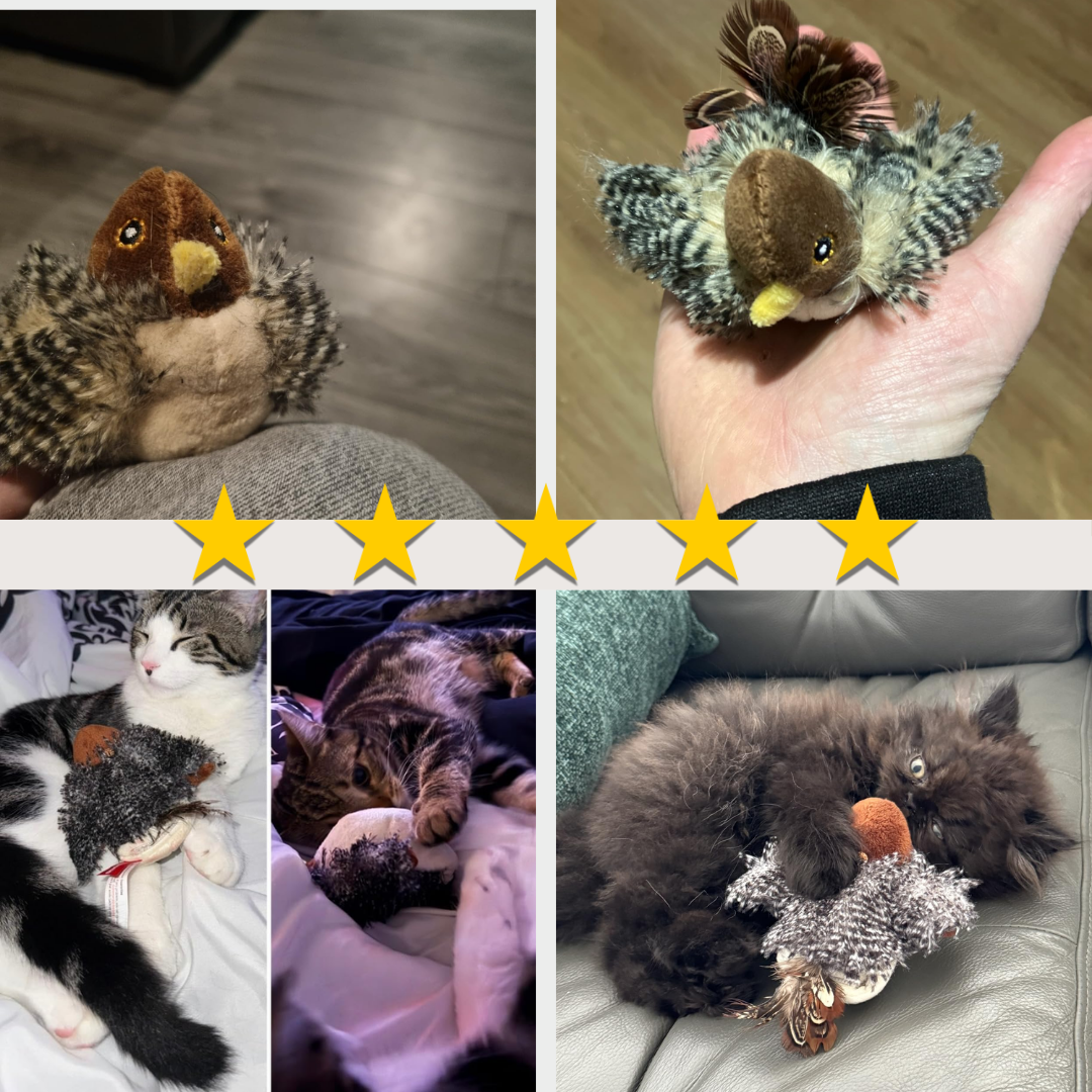 Chirping Bird Pet Toy