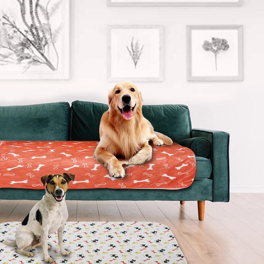 Water-Proof Reusable Pet Mat for Housebreaking and Potty Training - Quick-Dry & Super Absorbent