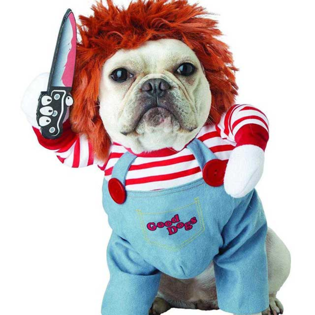 Chucky Pet Halloween Costume