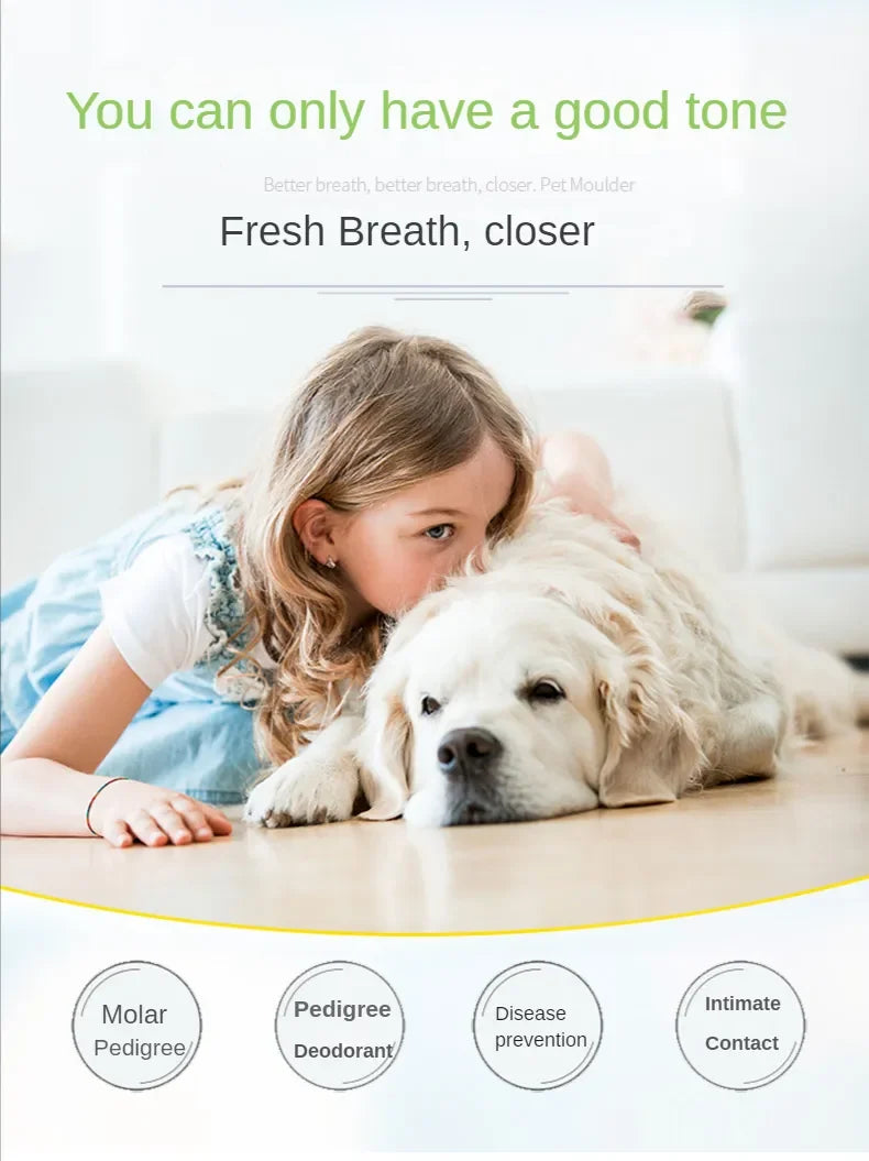 Indestructible Chew Toy for Aggressive Chewers - Teeth Cleaning and Interactive Play (2 in 1 Solution)