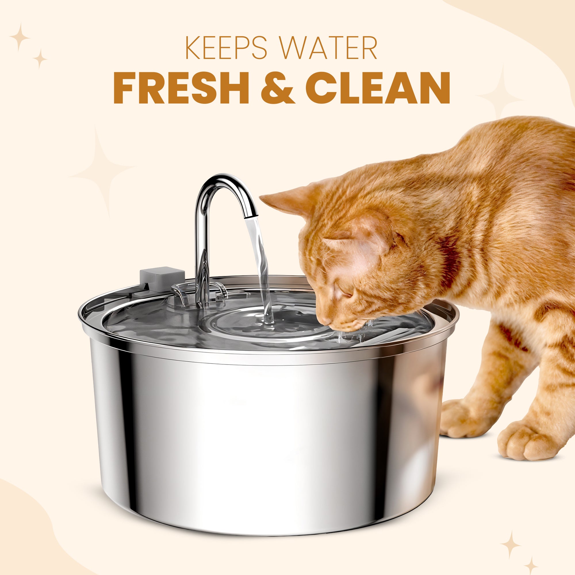 Cat & Dogs Water Fountain - Health and Happiness Cat Kit