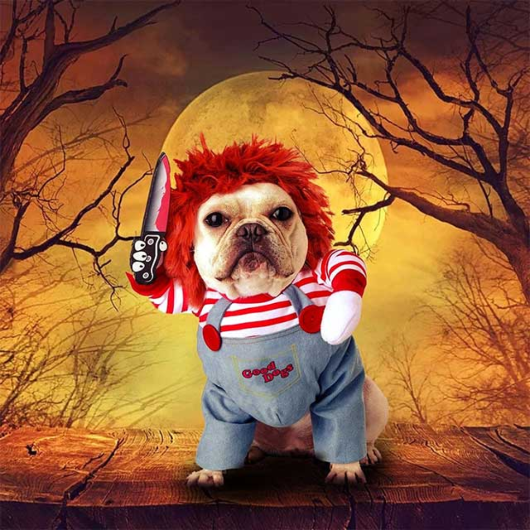 Chucky Pet Halloween Costume