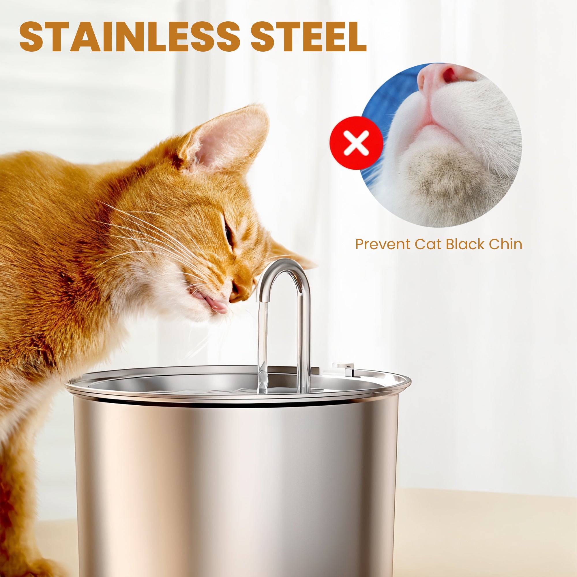 Cat & Dogs Water Fountain - Health and Happiness Cat Kit