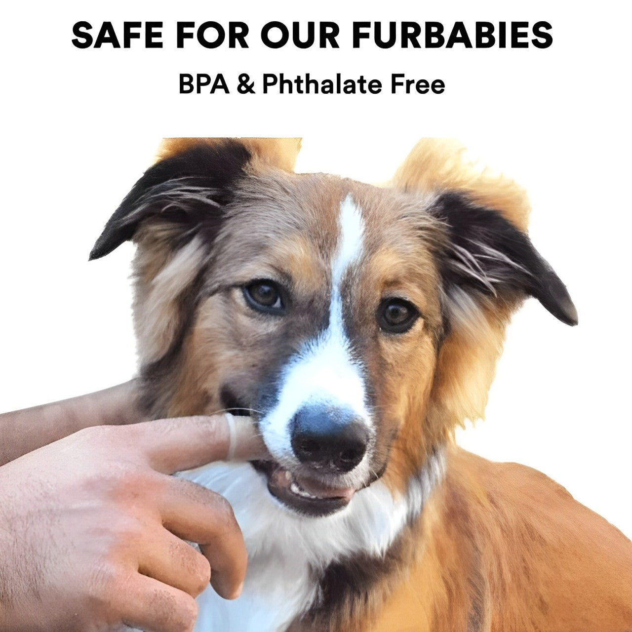 Pet Finger Toothbrush