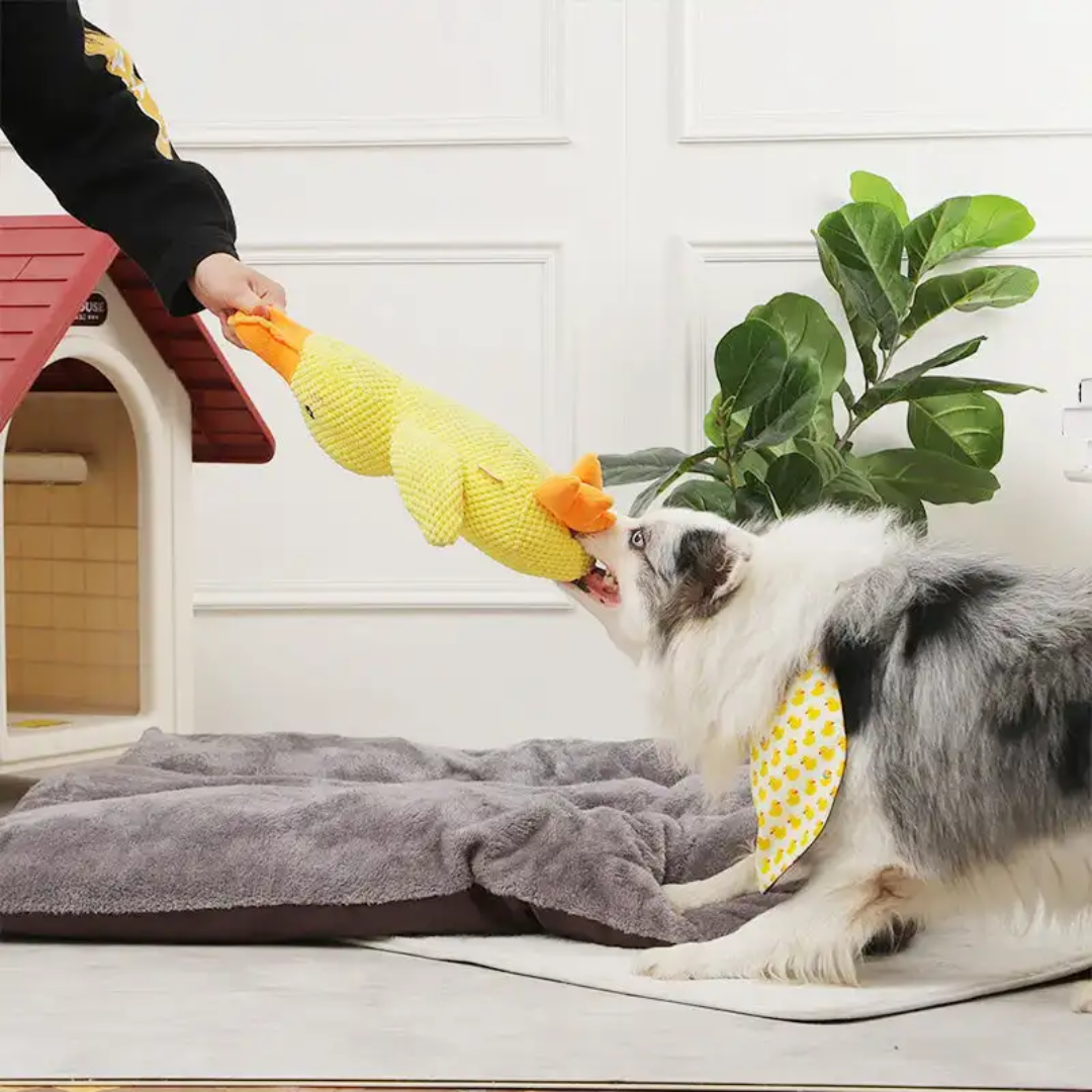 Plush Squeaky Pet Duck Toy
