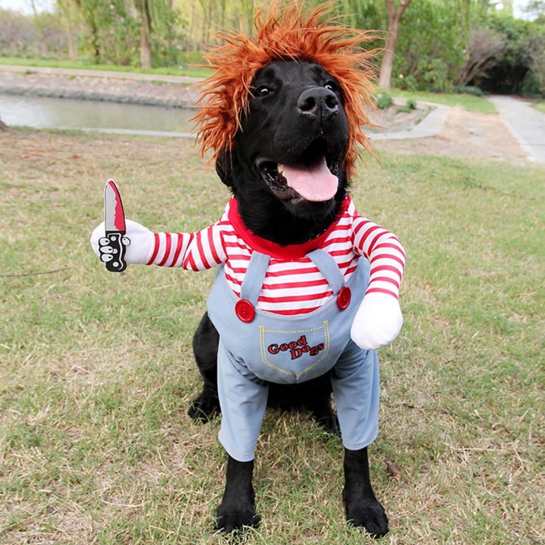Chucky Pet Halloween Costume