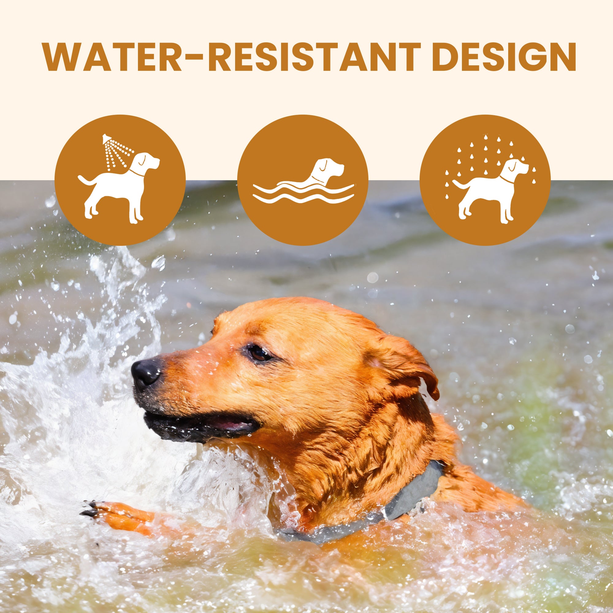 Pets Anti Flea And Mosquito Collar - Long-lasting Natural Protection for Pets