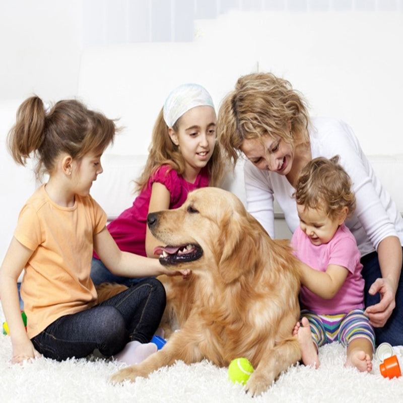 Pets Anti Flea And Mosquito Collar - Long-lasting Natural Protection for Pets