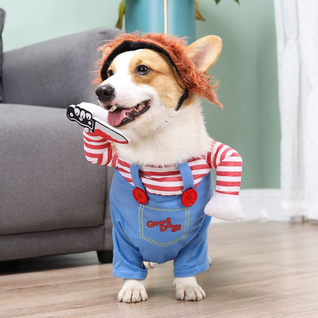 Chucky Pet Halloween Costume