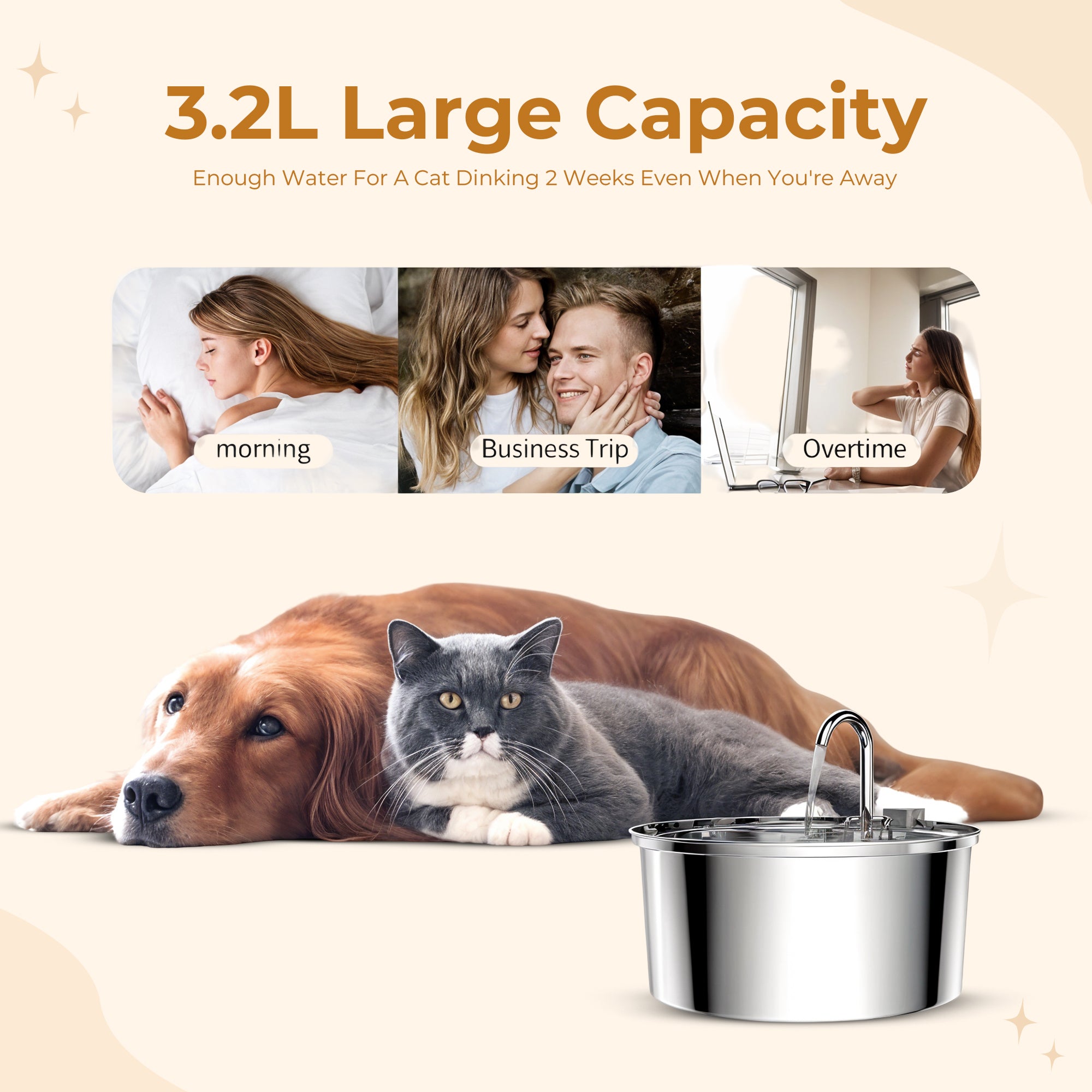 Cat & Dogs Water Fountain - Health and Happiness Cat Kit