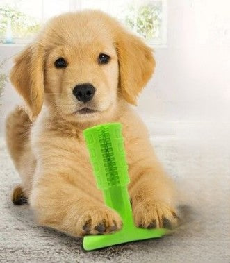 Indestructible Chew Toy for Aggressive Chewers - Teeth Cleaning and Interactive Play (2 in 1 Solution)