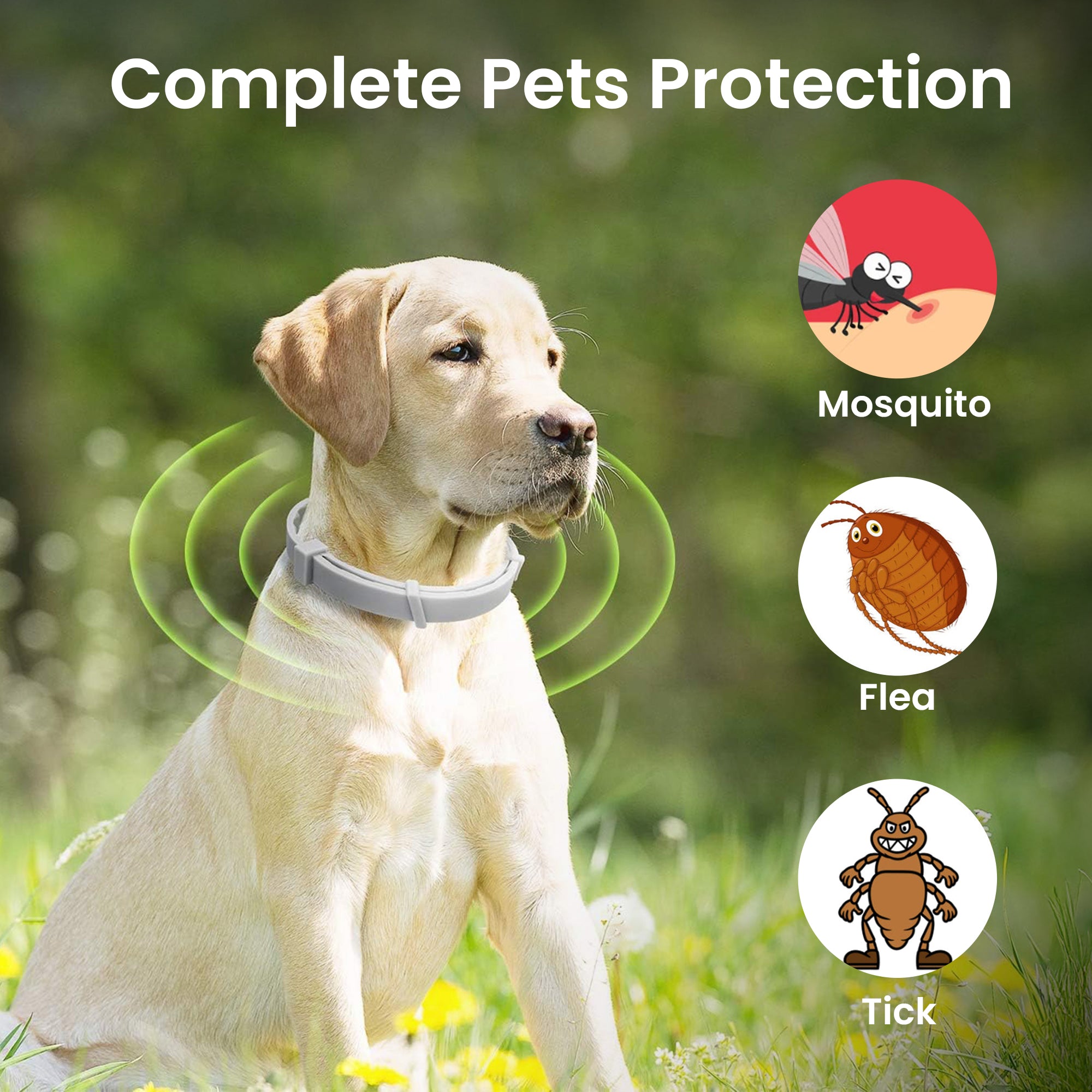 Pets Anti Flea And Mosquito Collar - Long-lasting Natural Protection for Pets