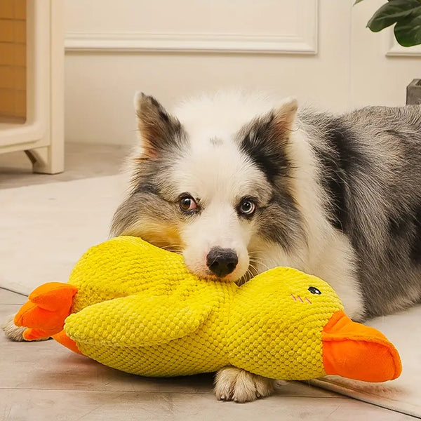 Pet Anti Anxiety Indestructible Duck Toy Must Have Interactive