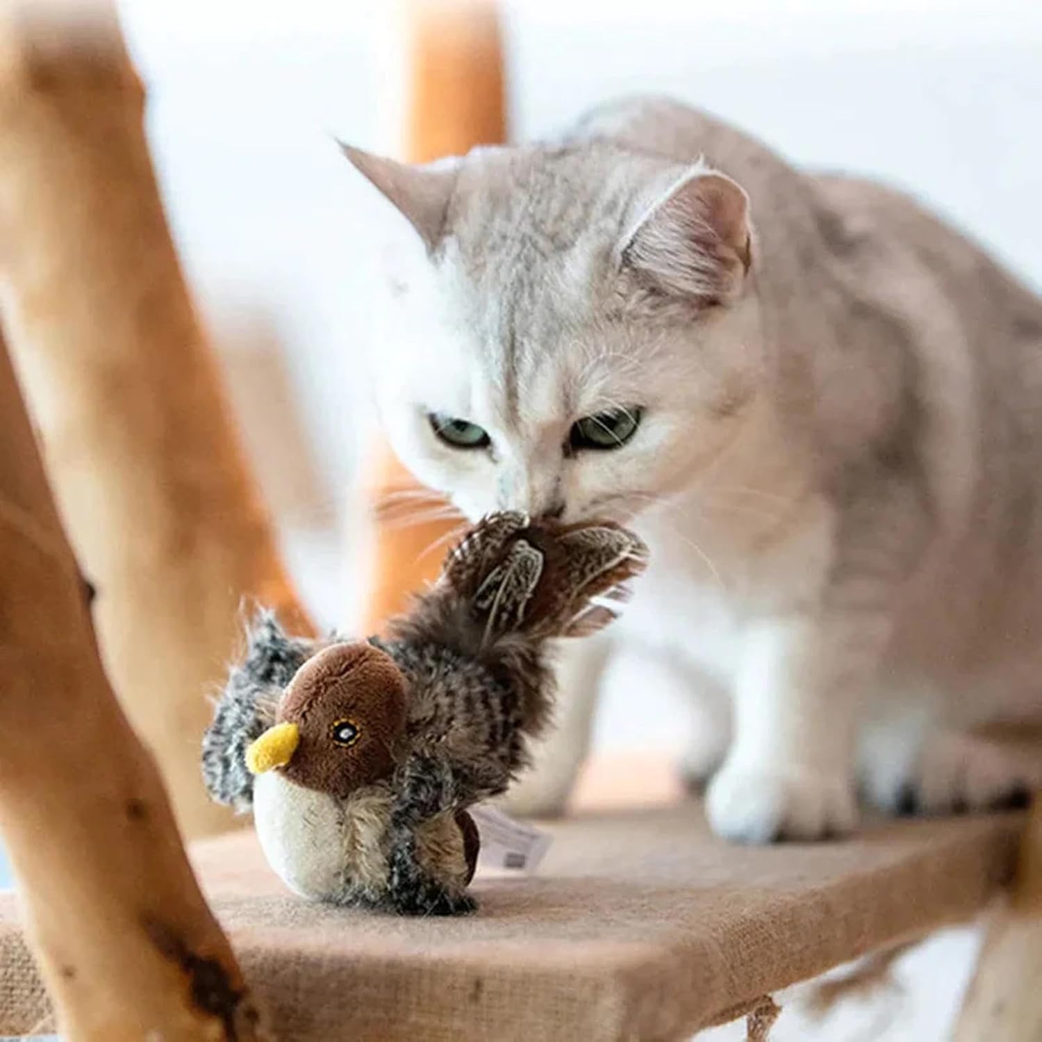 Chirping Bird Pet Toy