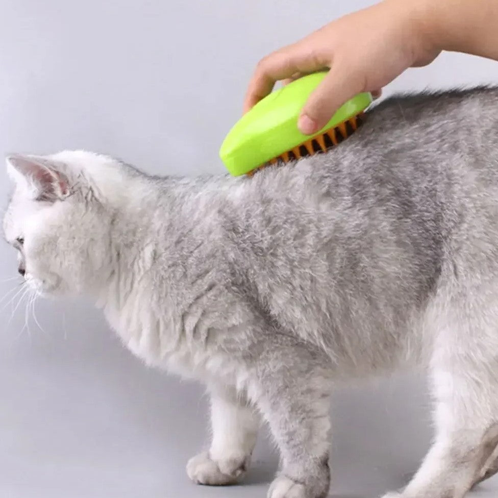 PET STEAM MASSAGE BRUSH / COMB
