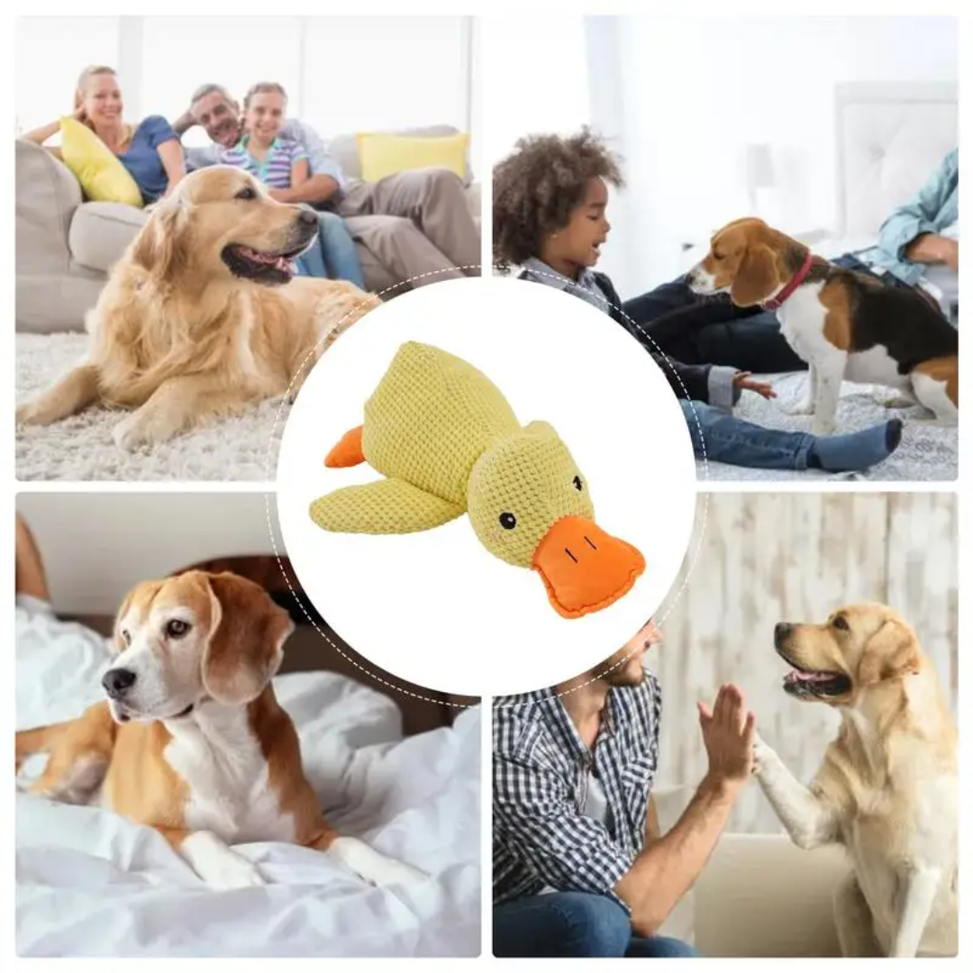 Plush Squeaky Pet Duck Toy