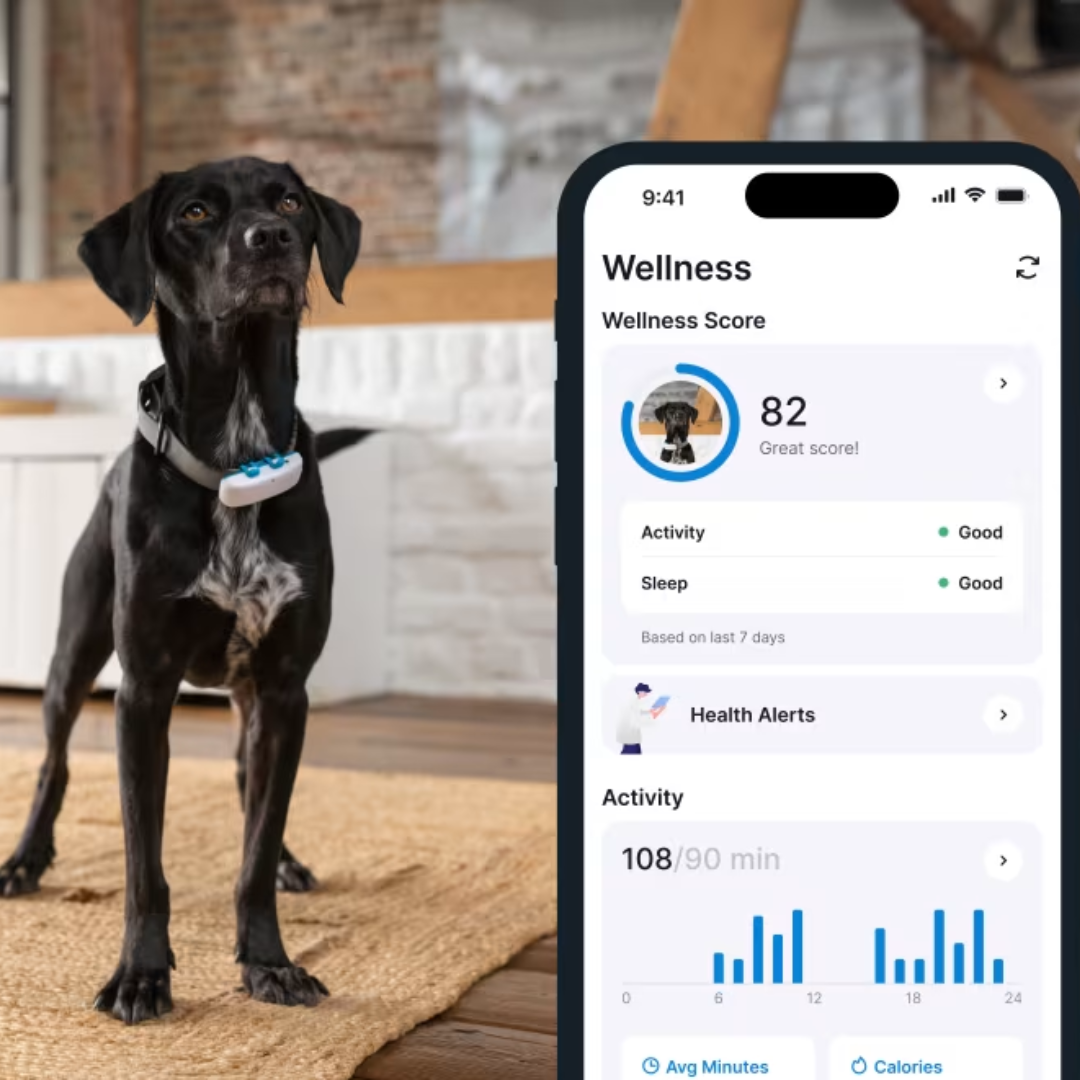 Pet GPS & Wellness Tracker