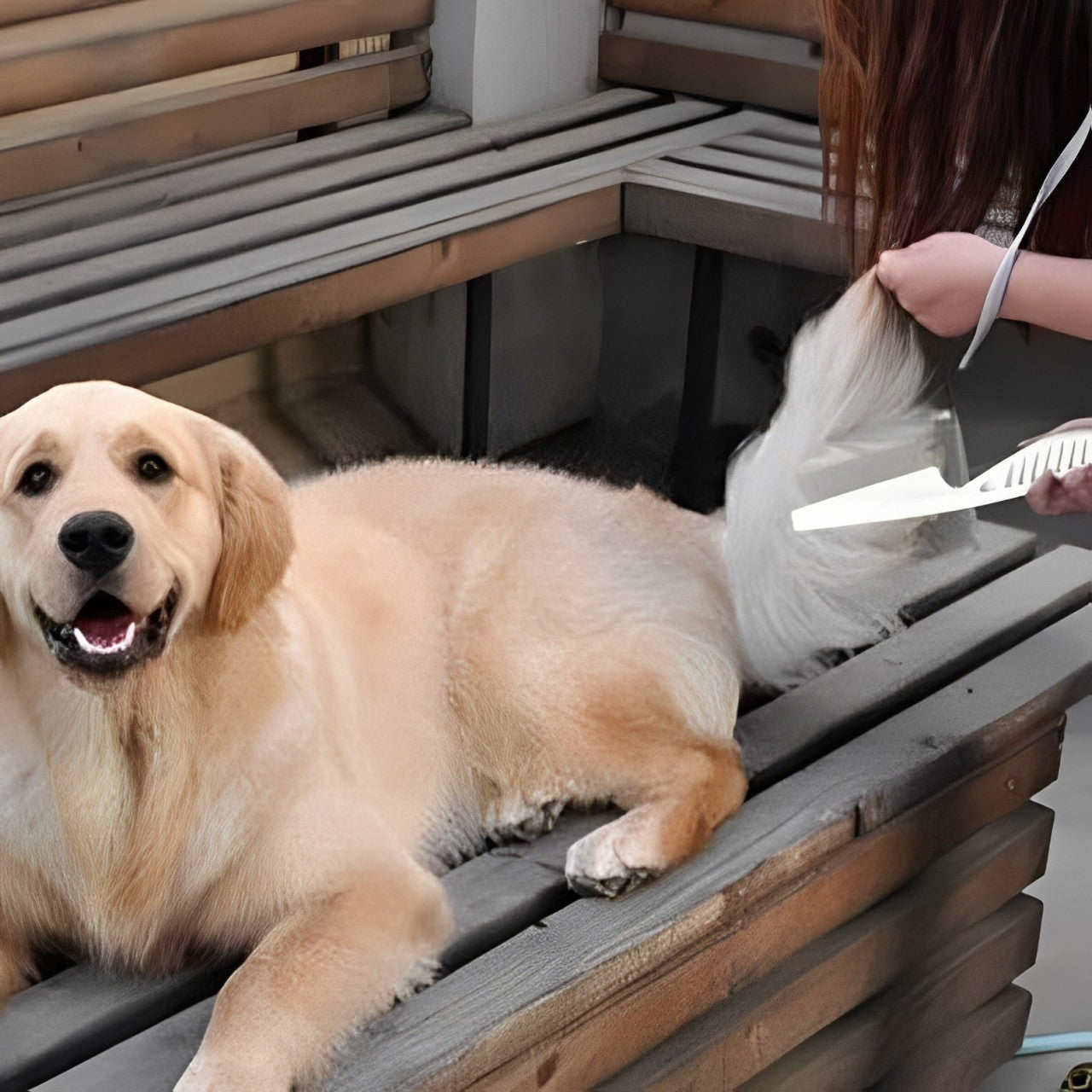 PET HAIR SHEDDING COMB
