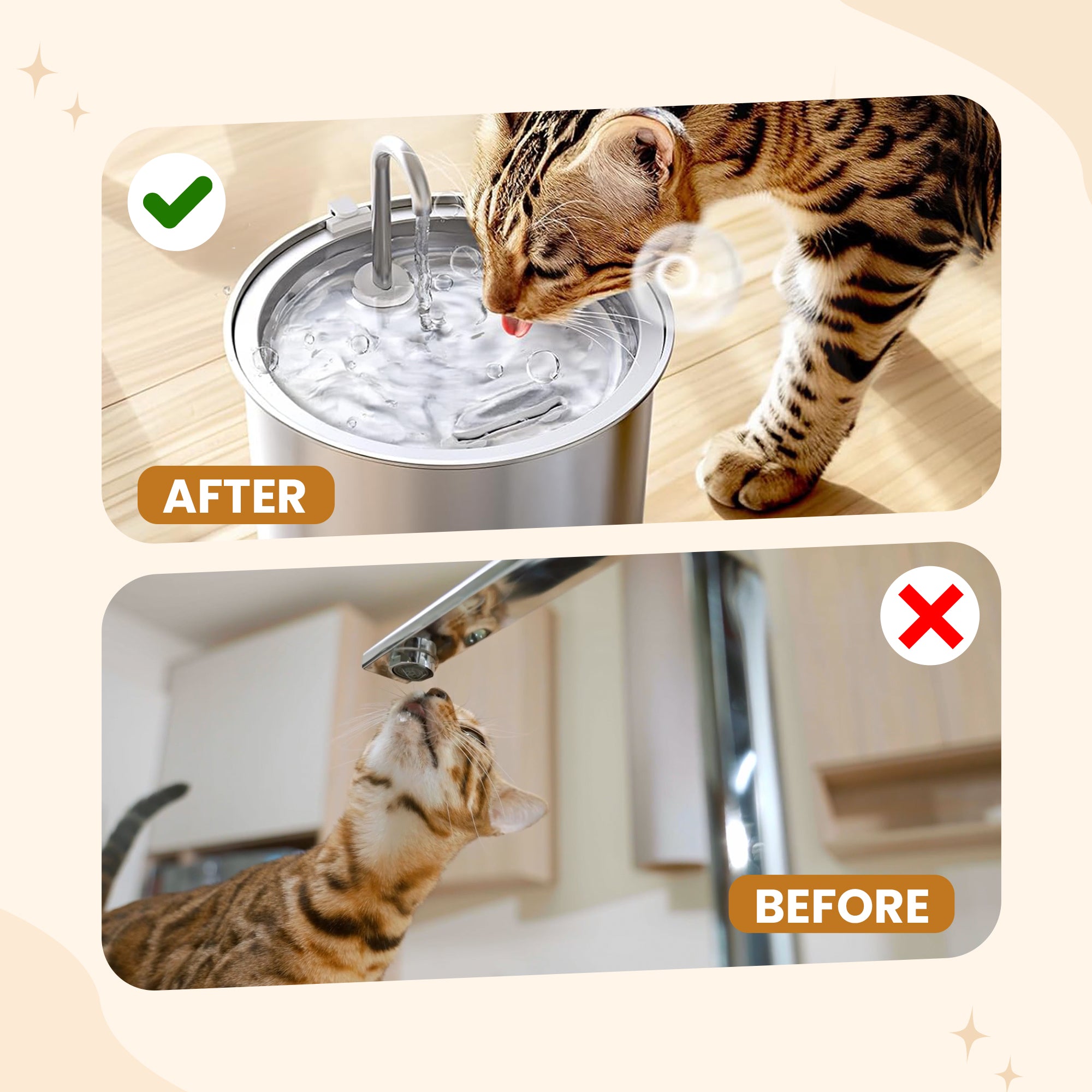 Cat & Dogs Water Fountain - Health and Happiness Cat Kit