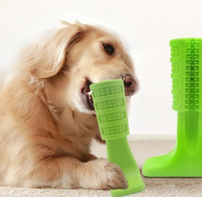 Indestructible Chew Toy for Aggressive Chewers - Teeth Cleaning and Interactive Play (2 in 1 Solution)
