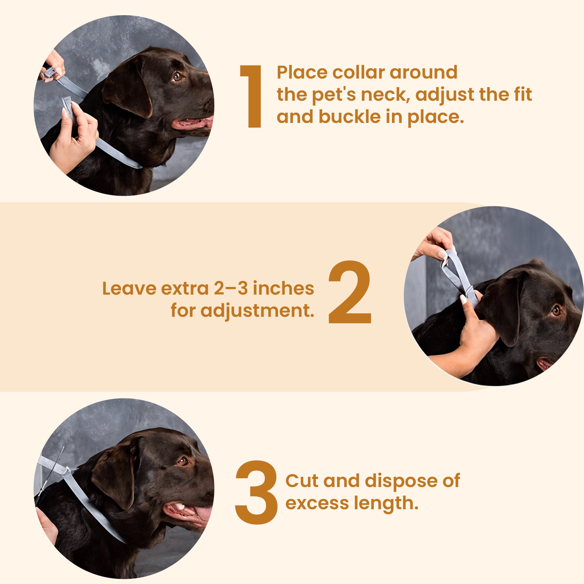 Pets Anti Flea And Mosquito Collar - Long-lasting Natural Protection for Pets