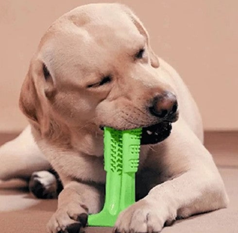 Indestructible Chew Toy for Aggressive Chewers - Teeth Cleaning and Interactive Play (2 in 1 Solution)