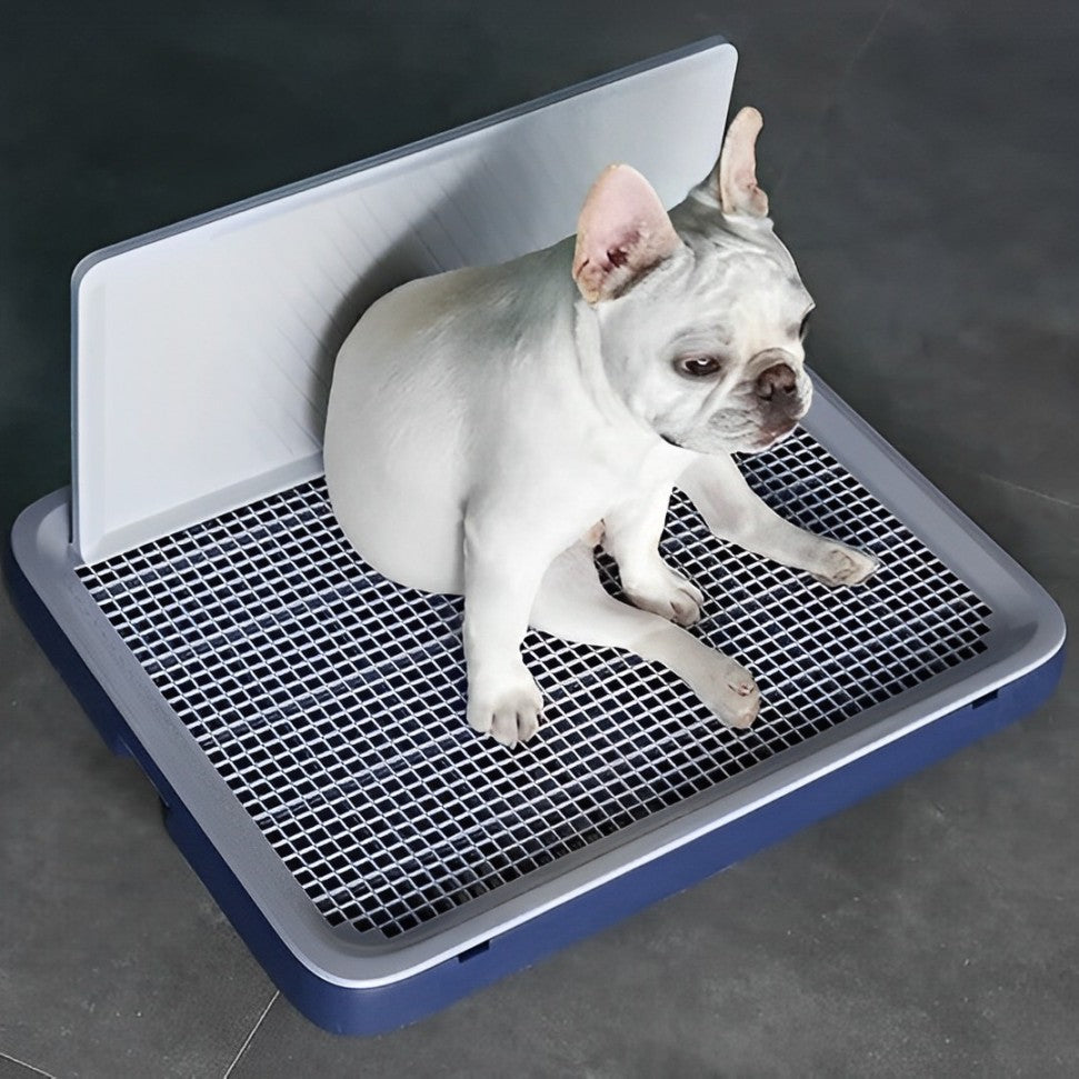 RAINING PEE PAD