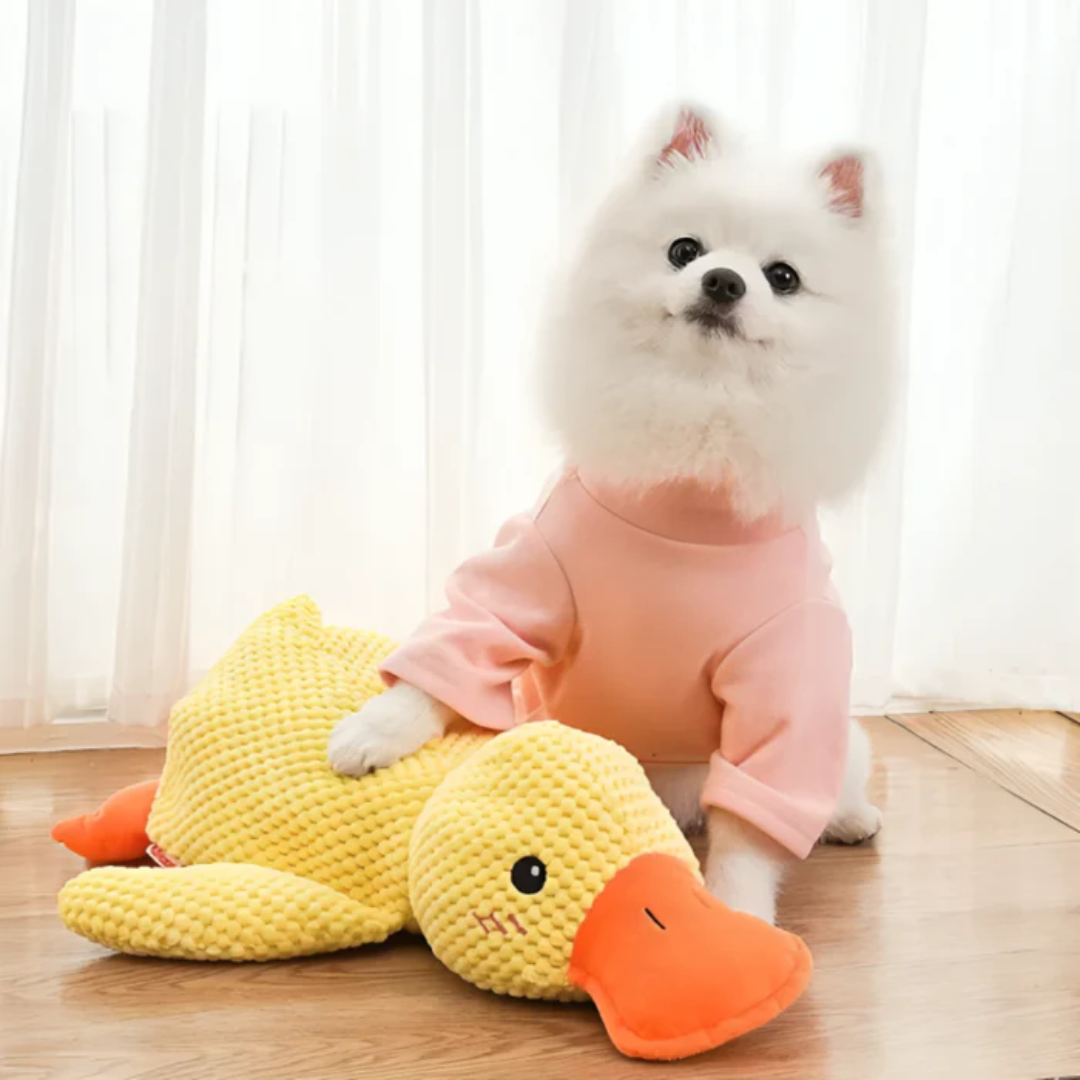 Plush Squeaky Pet Duck Toy