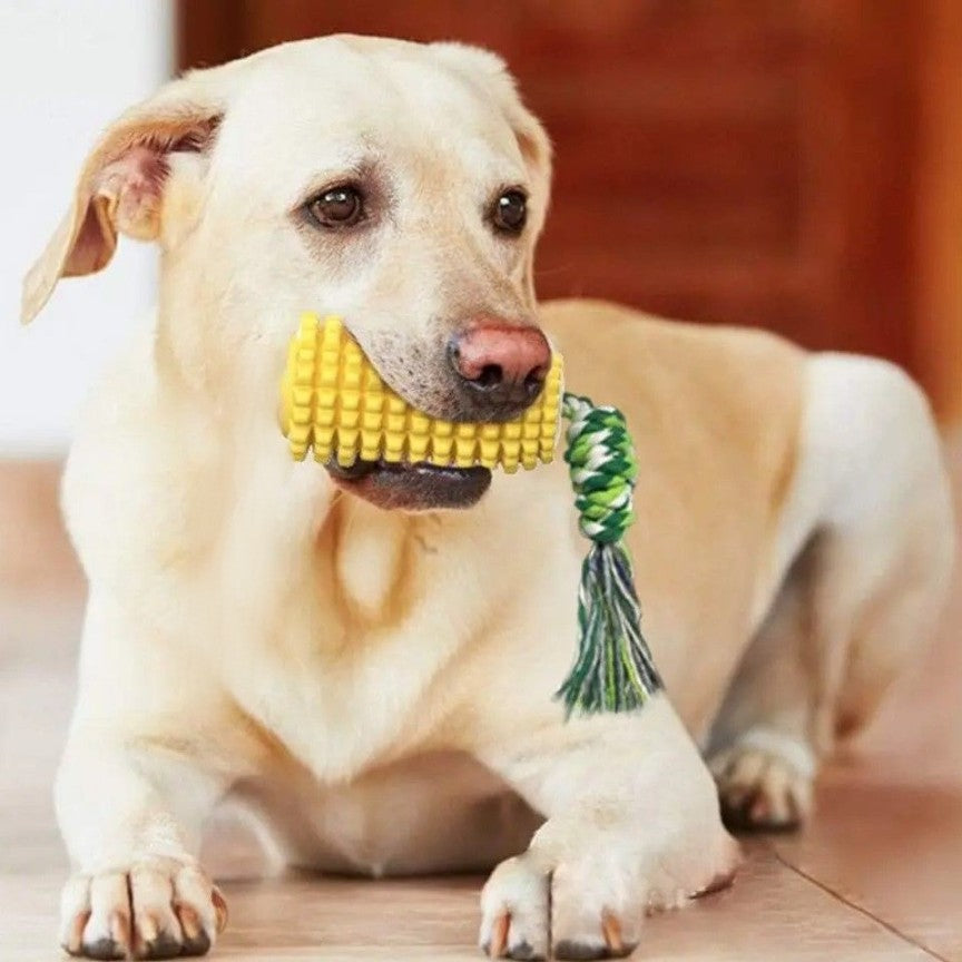 PUPPY TEETH CHEW CORN STICK TOY FOR SMALL MEDUIUM LARGE BREED