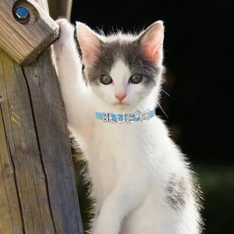 DIY PERSONALISED LEATHER COLLAR PET DOG CAT
