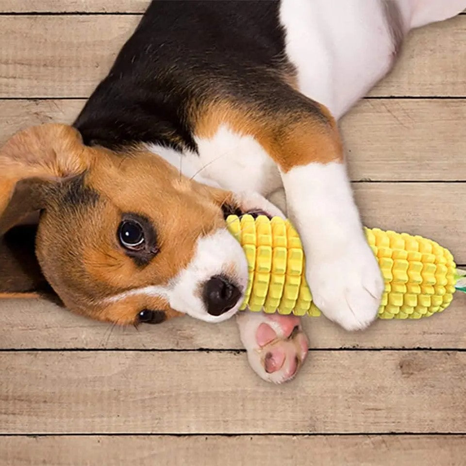 PUPPY TEETH CHEW CORN STICK TOY FOR SMALL MEDUIUM LARGE BREED