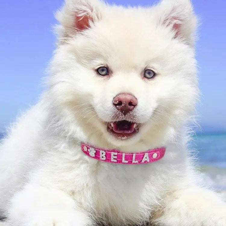 DIY PERSONALISED LEATHER COLLAR PET DOG CAT