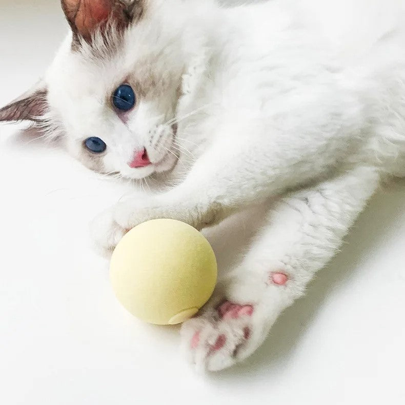 INTERACTIVE SMART PLUSH CAT BALL